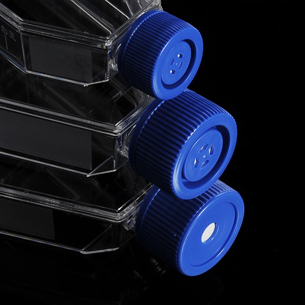 25 CM Easy Access Neck Non-Pyrogenic Cell Culture Flask