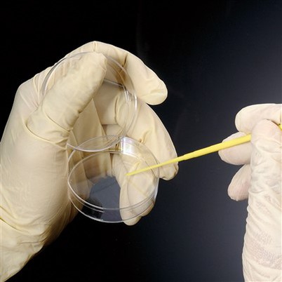 Steril Einstaklingar sem sameina sog og nálar